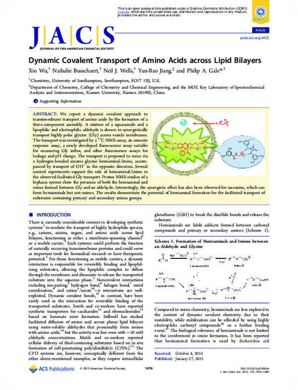 glutathione transport system The Rockefeller University » How the antioxidant glutathione keeps  mitochondria healthy main image 1