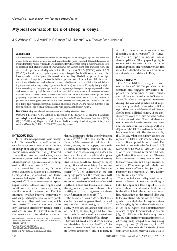 (PDF) Atypical dermatophilosis of sheep in Kenya
