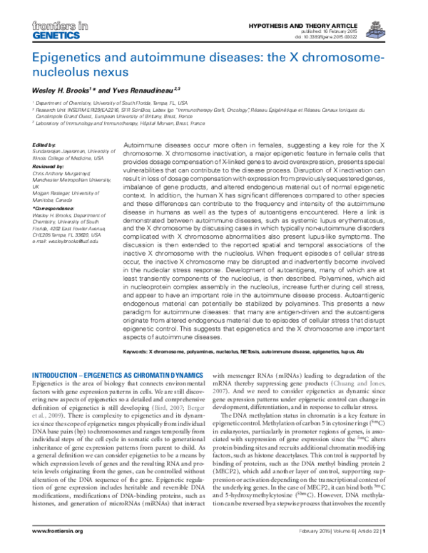 (PDF) Epigenetics and autoimmune diseases: The X chromosome - nucleolus ...