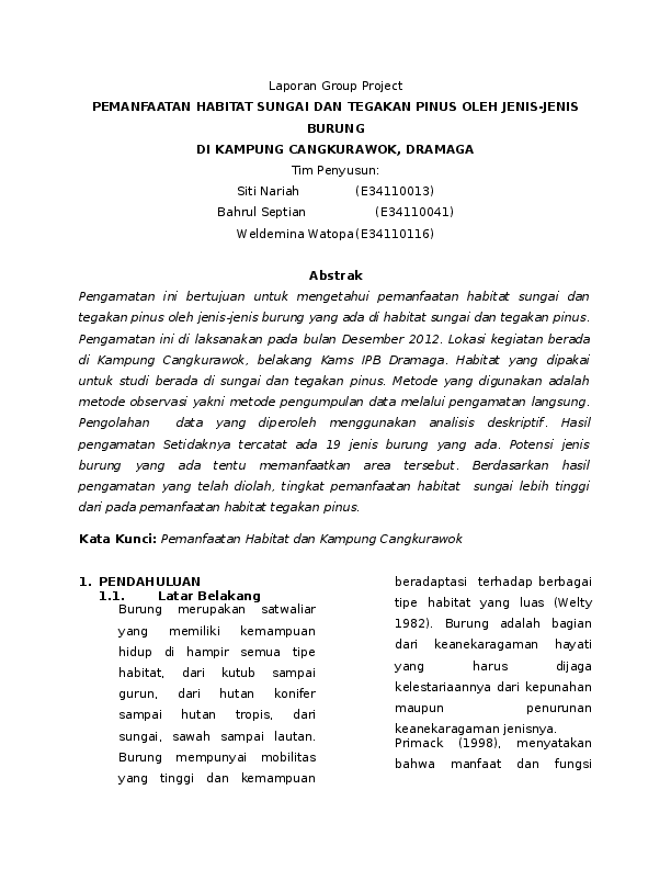 Nariah essay paper 06 image