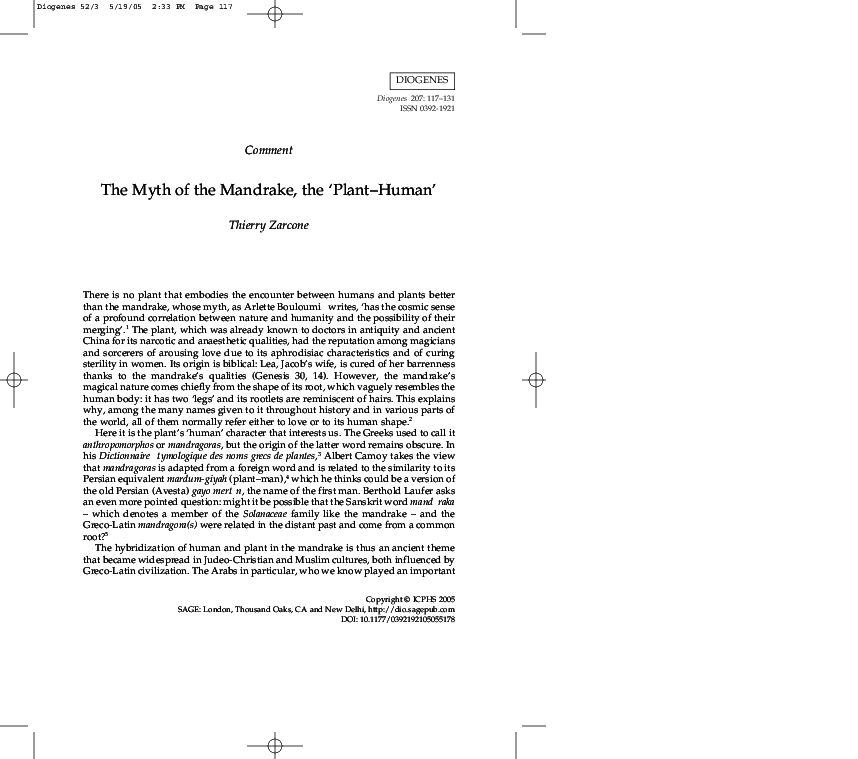 Mandragora essay 07 picture