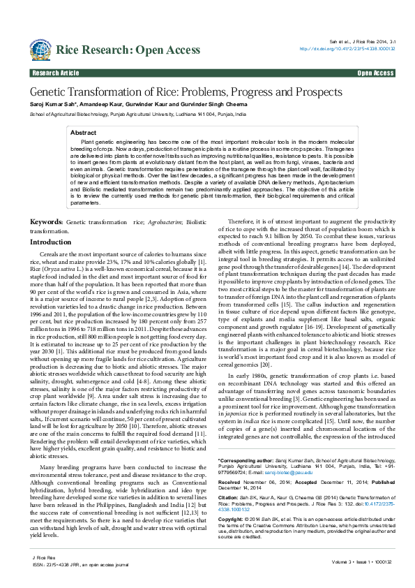 (PDF) Genetic Transformation of Rice: Problems, Progress and Prospects