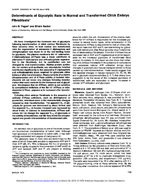 (PDF) Determinants of Glycolytic Rate in Normal and Transformed Chick ...