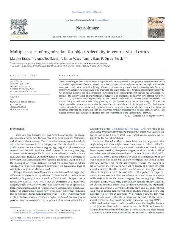 (PDF) Multiple scales of organization for object selectivity in ventral ...