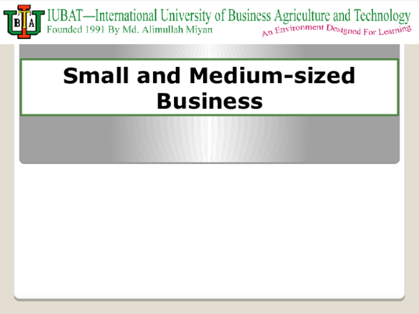 Small and Medium-sized Business- PPT