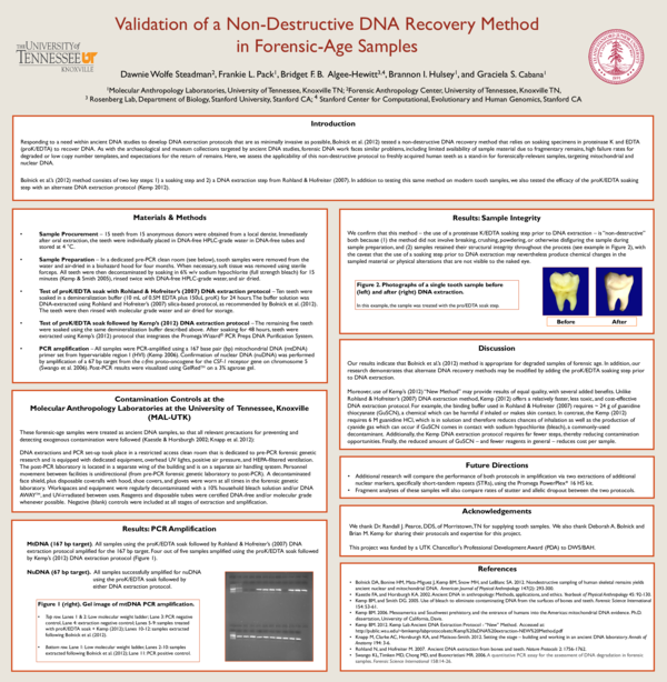 Effects of mining on human health image