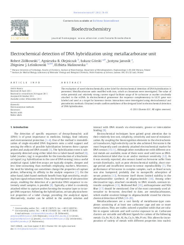 (PDF) Electrochemical detection of DNA hybridization using ...