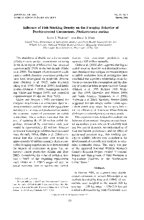 Foraging behavior essay picture