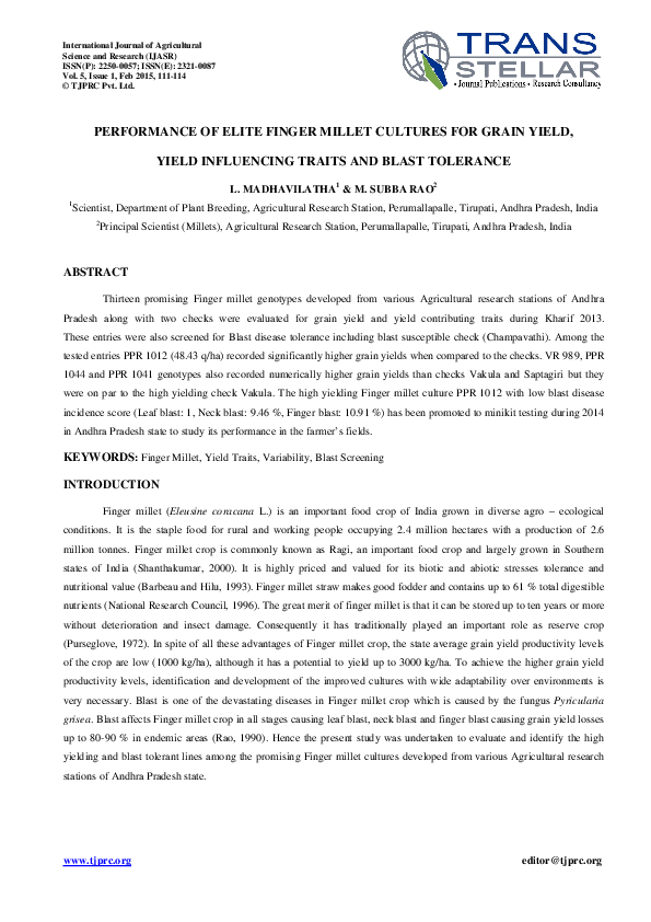 Finger millet crossword image