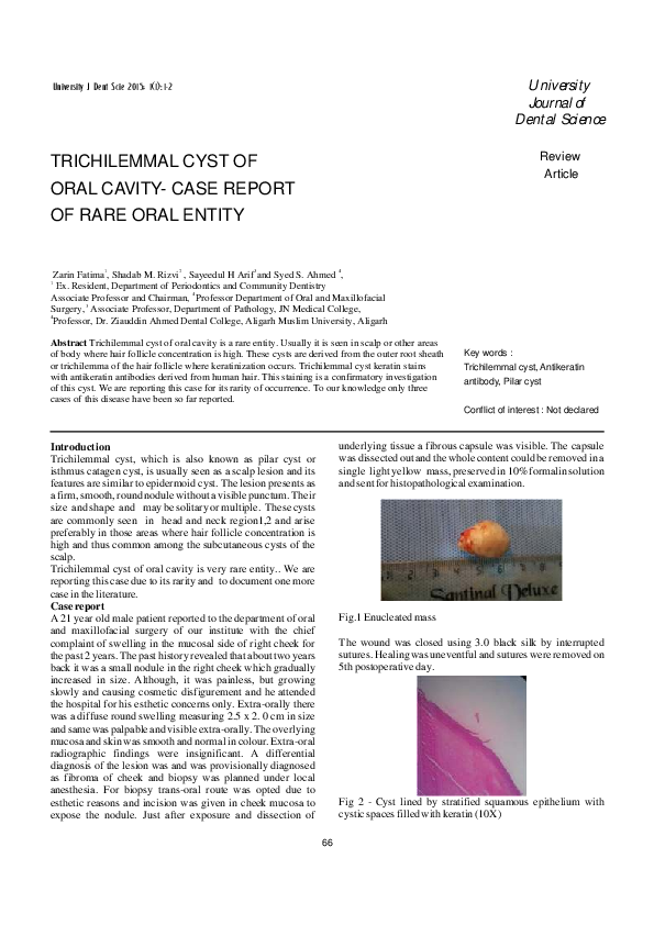 What is oral cavity image