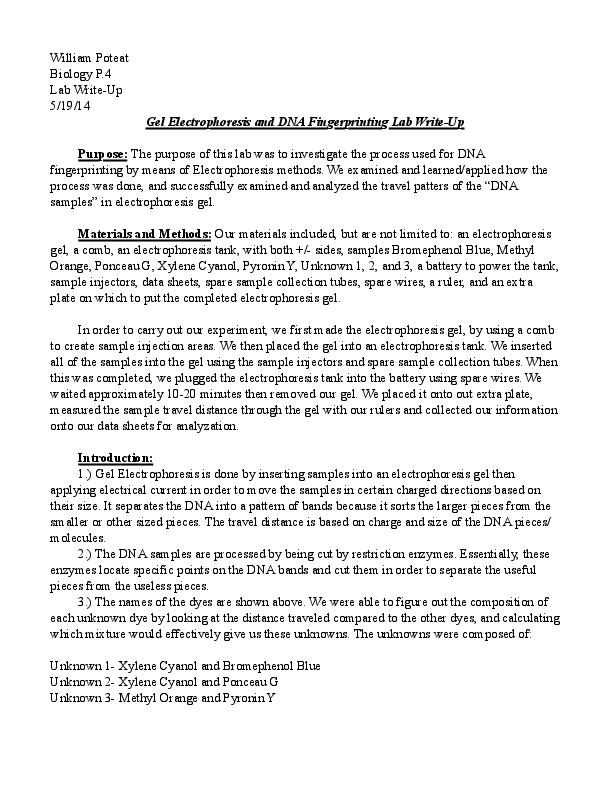 (PDF) Gel Electrophoresis Lab William Poteat Academia.edu