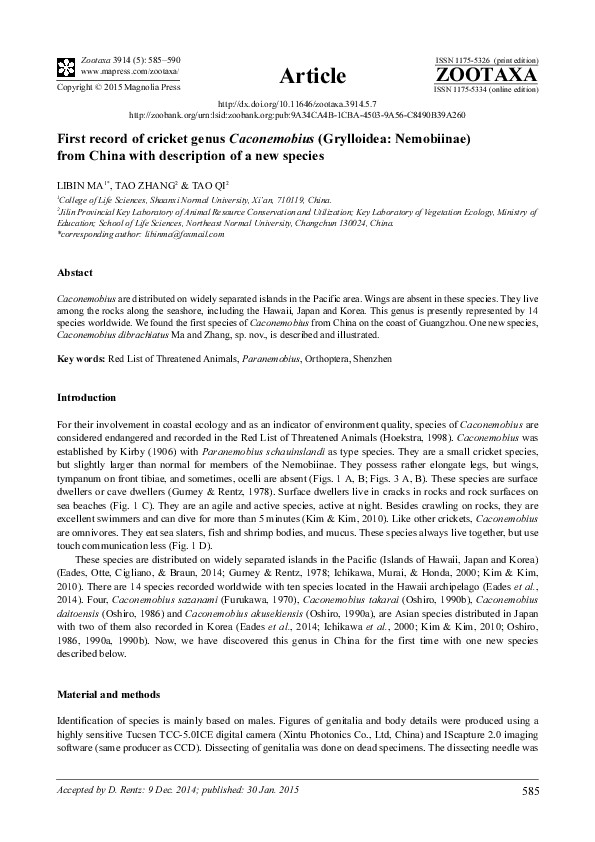 (PDF) Caconemobius from China