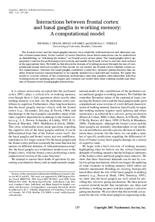 (PDF) Interactions between frontal cortex and basal ganglia in working