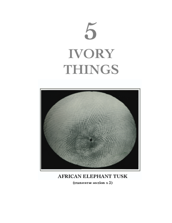 5 Ivory Things