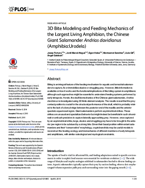 (PDF) 3D Bite Modeling and Feeding Mechanics of the Largest Living ...