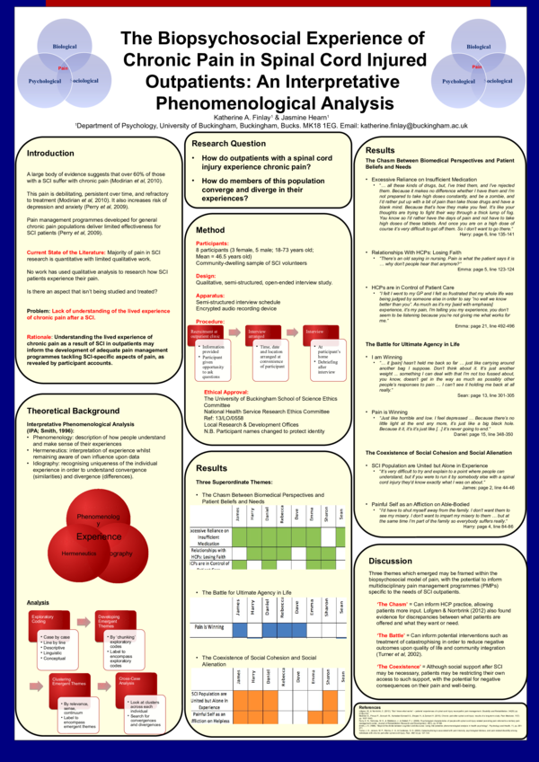 (PPT) Living with chronic neuropathic pain following spinal cord injury ...