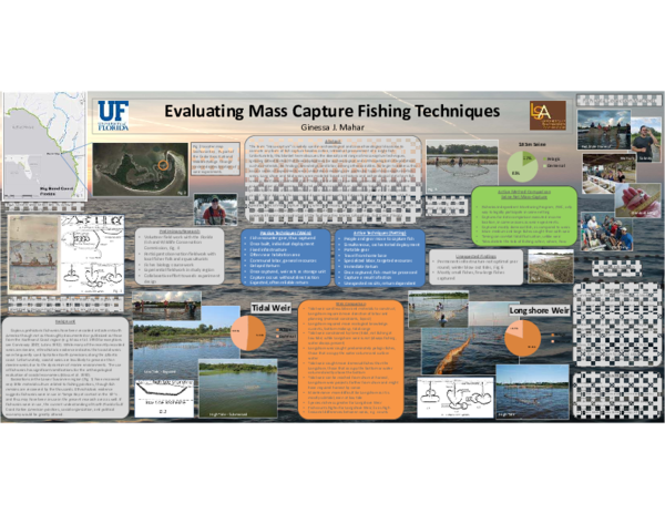 (PDF) Evaluating Mass Capture Fishing Techniques