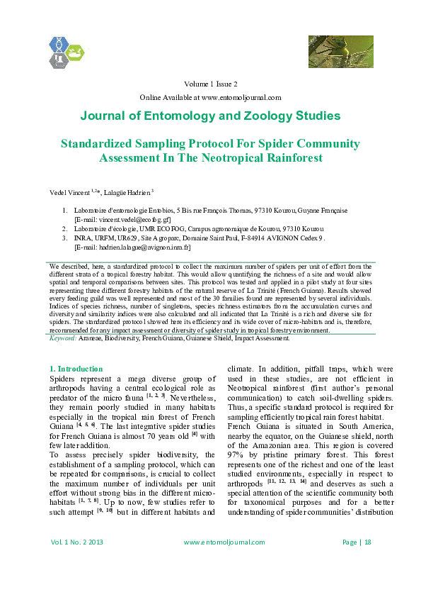 Research paper on spiders picture