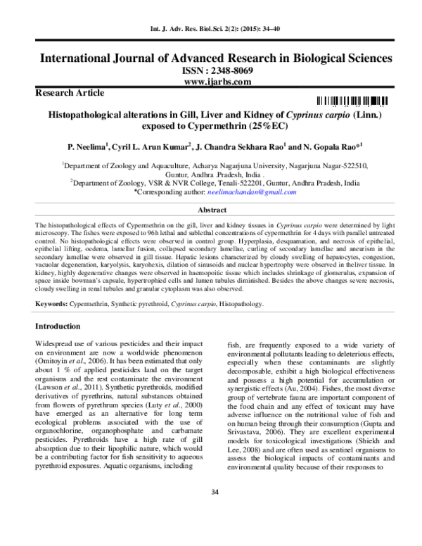 (PDF) Histopathological alterations in Gill, Liver and Kidney of ...