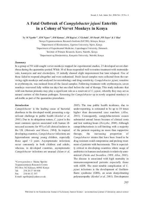 Outbreak lab essay 04 picture