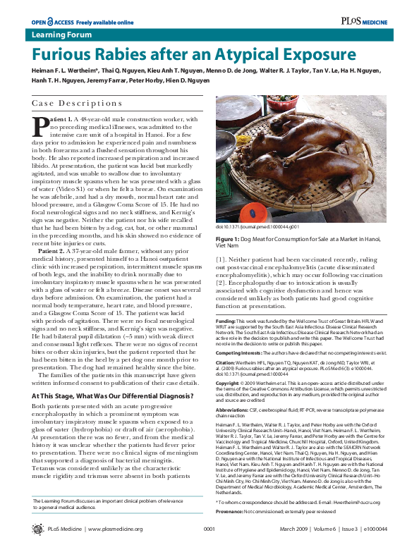 (PDF) Furious rabies after an atypical exposure