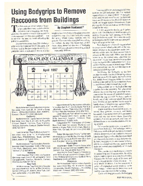 (PDF) Using Bodygrips to Remove Raccoons from Buildings | Stephen M