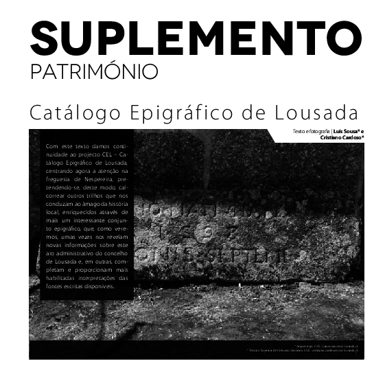 Nespereira essay 03 picture