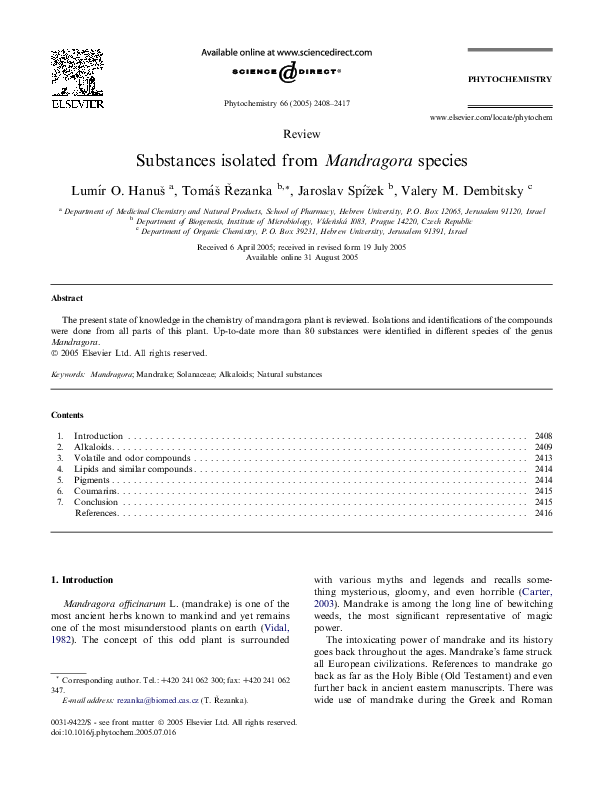 Mandragora officinarum image