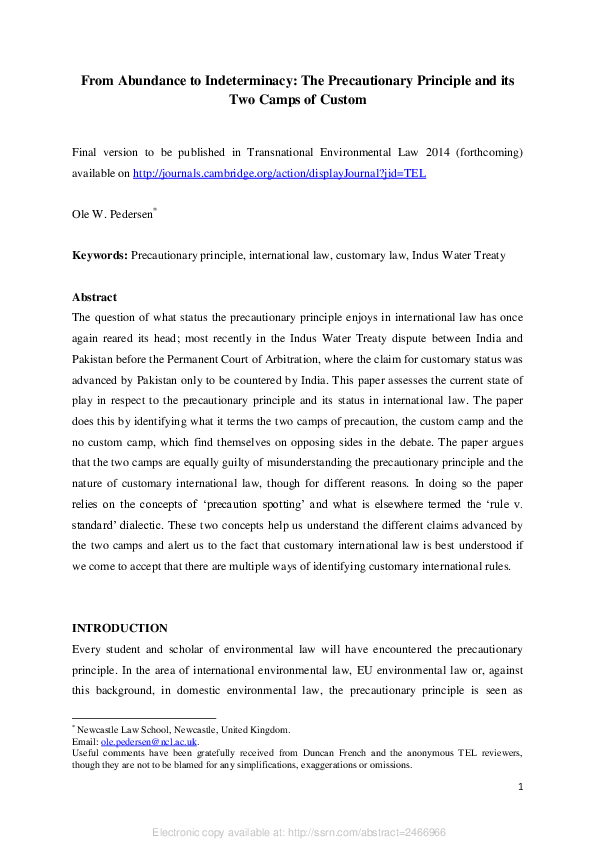 Precautionary principle essay 06 image