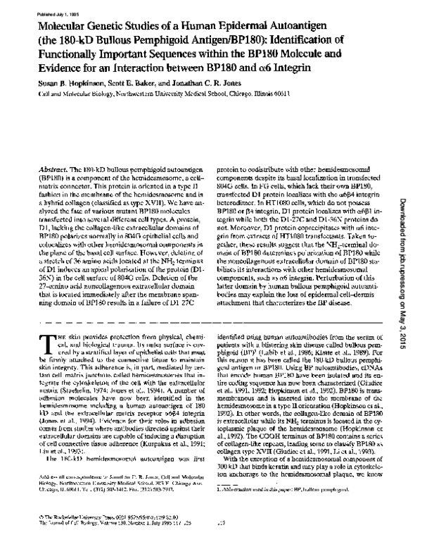 (PDF) Molecular Genetic Studies of a Human Epidermal Autoantigen (the ...