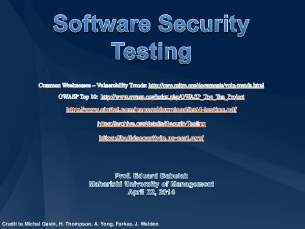 (PDF) Software Security Testing
