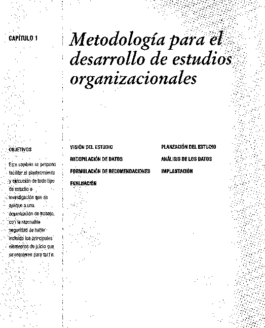 (PDF) Metodología de estudios organizacionales