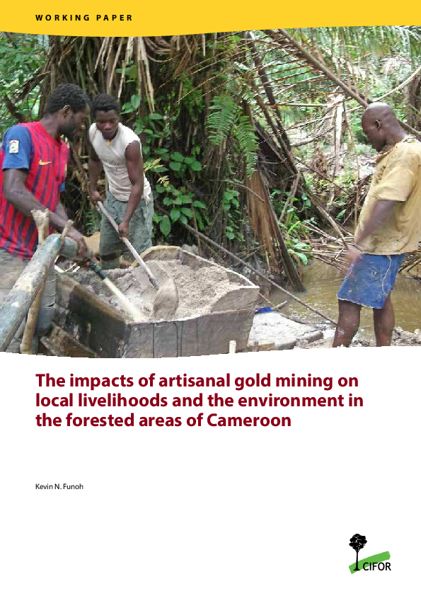(PDF) The Impacts of artisanal gold mining on local livelihood and the ...