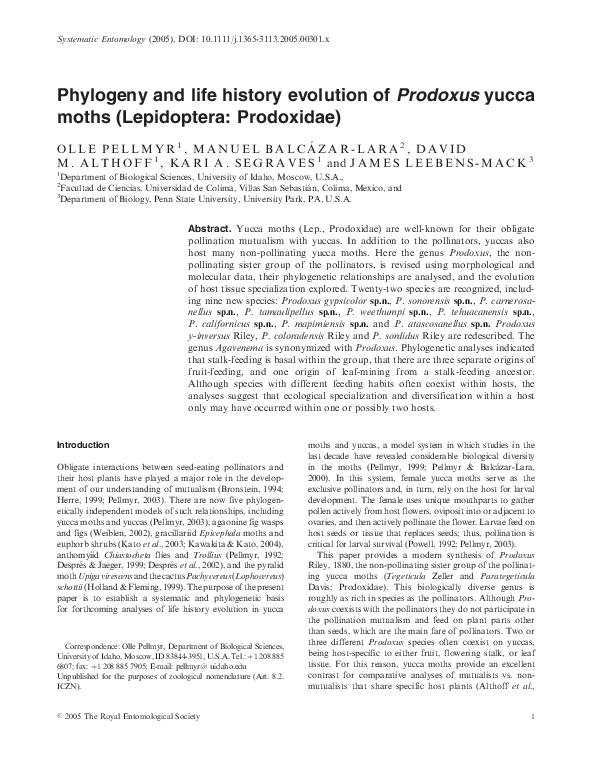(PDF) Phylogeny and life history evolution of Prodoxus yucca moths ...