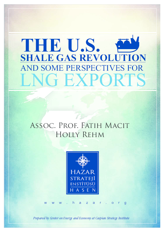 (PDF) The U.S. Shale Gas Revolution and Some Perspectives For LNG Exports