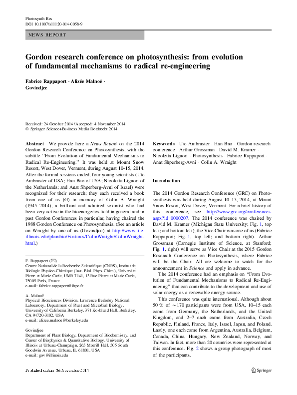 Radical evolution essay 02 image