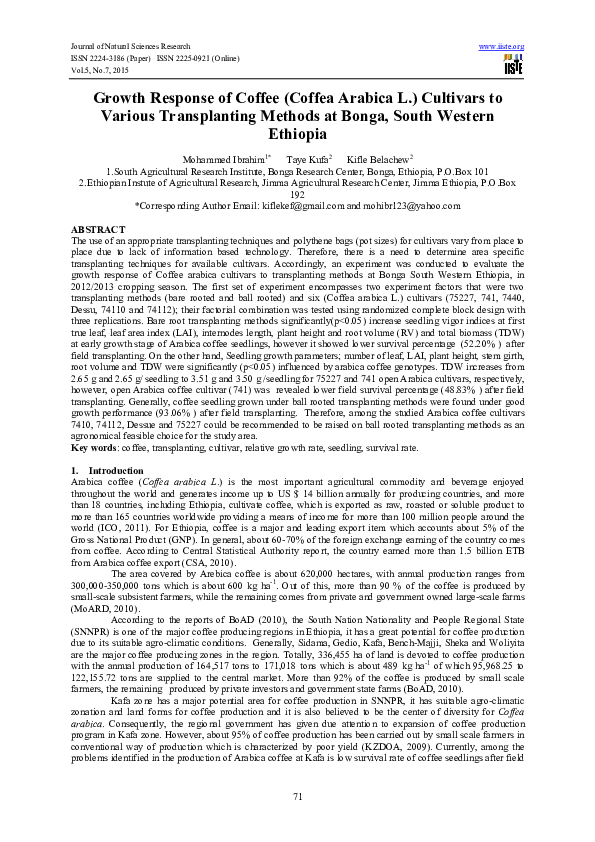 Coffea arabica supplement picture