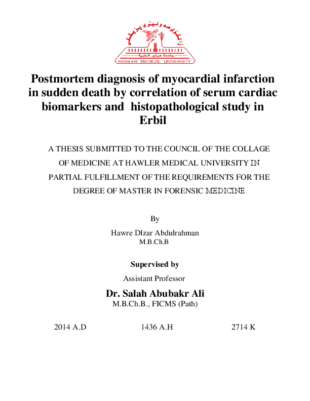 Thesis chapter submitted heart myocardium scaffold 04 image