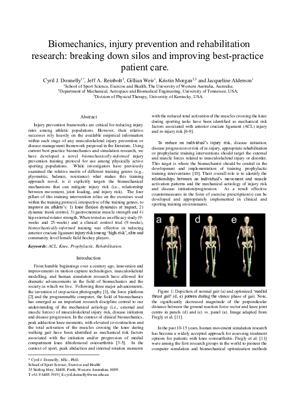 (PDF) Biomechanics, injury prevention and rehabilitation research ...