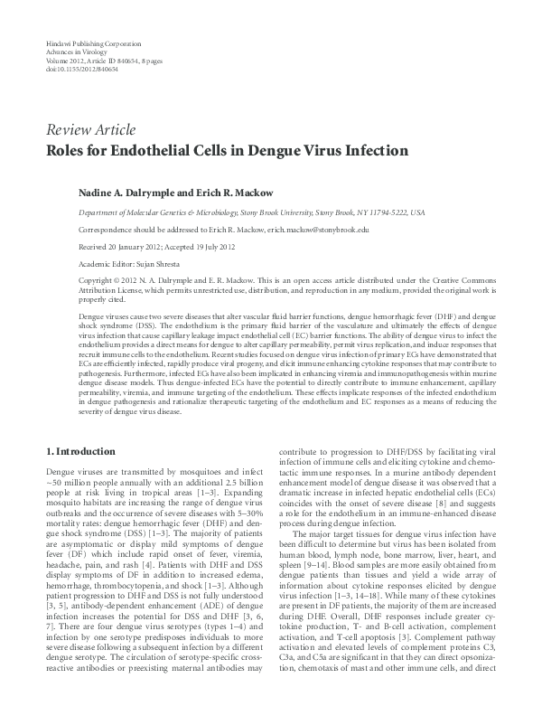 Dengue virus classification picture