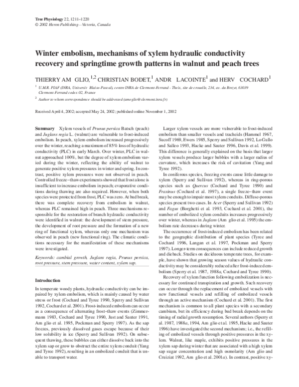 Peach tree healthcare essay example 05 image