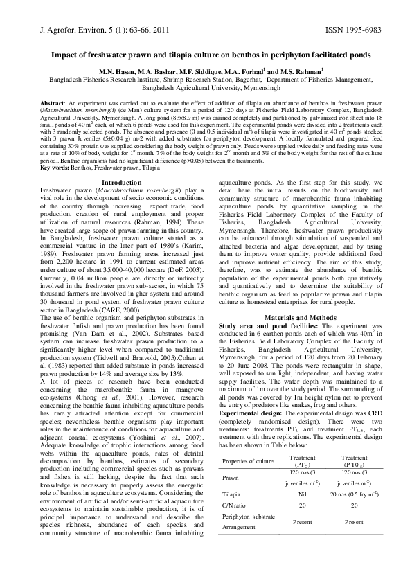 Observable features of tilapia fish image