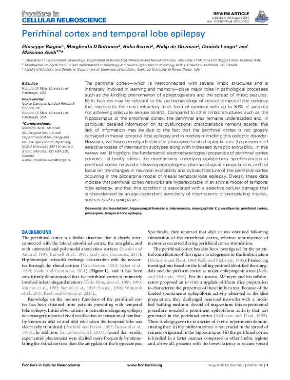 (PDF) Perirhinal cortex and temporal lobe epilepsy