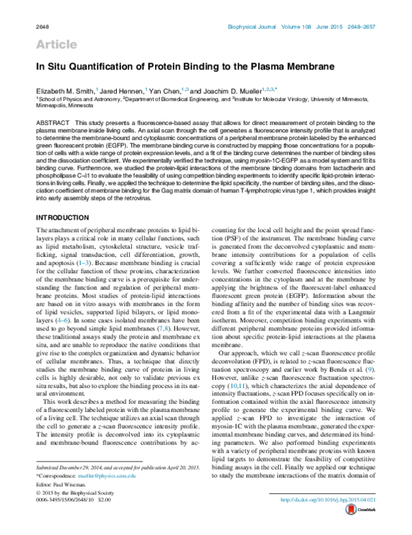 (PDF) In Situ Quantification of Protein Binding to the Plasma Membrane