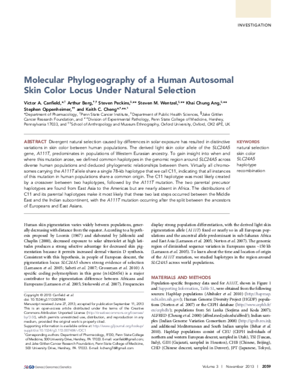 (PDF) Molecular Phylogeography of a Human Autosomal Skin Color Locus ...