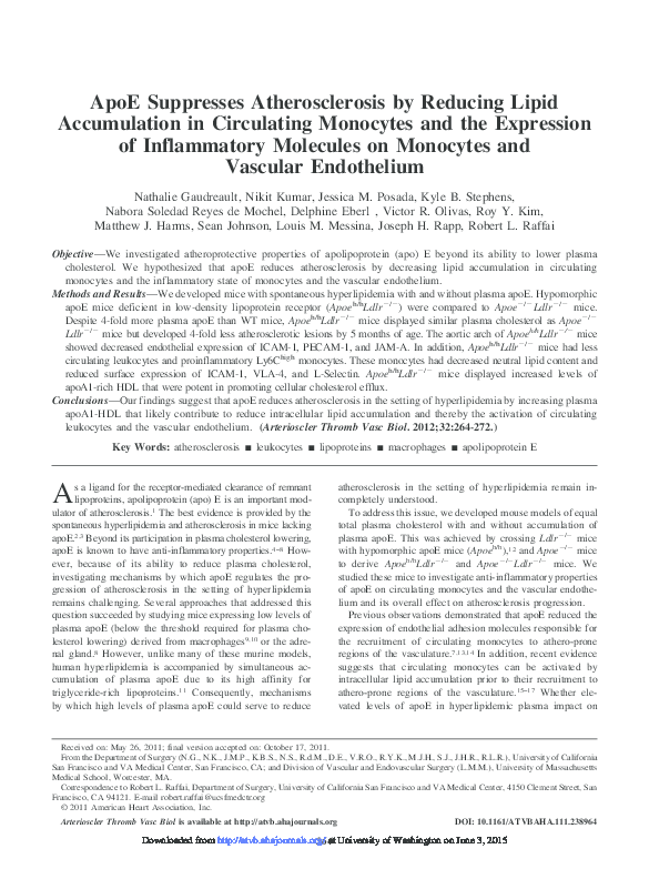 (PDF) ApoE Suppresses Atherosclerosis by Reducing Lipid Accumulation in ...