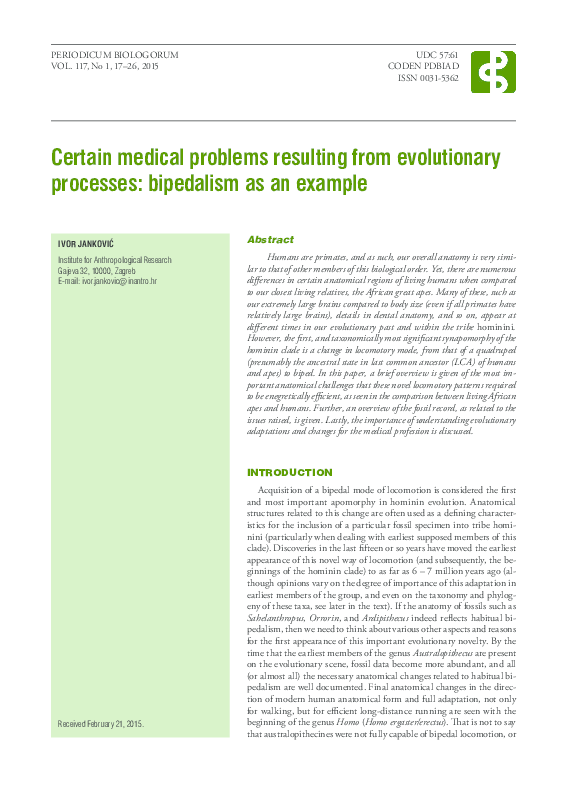 Bipedalism theories image