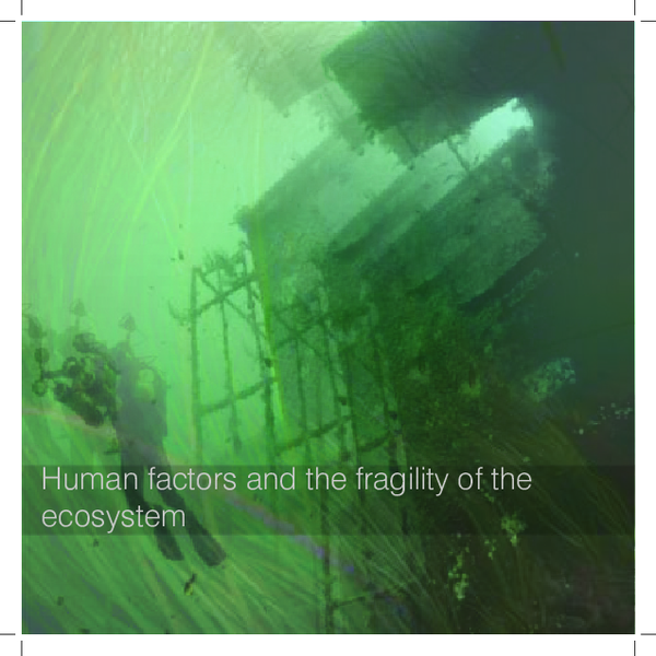  PDF Human Factors And The Fragility Of The Ecosystem Sustainable 