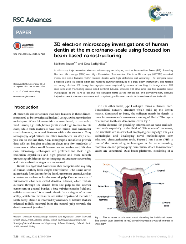 (PDF) Focused ion beam (FIB)/scanning electron microscopy (SEM) in ...