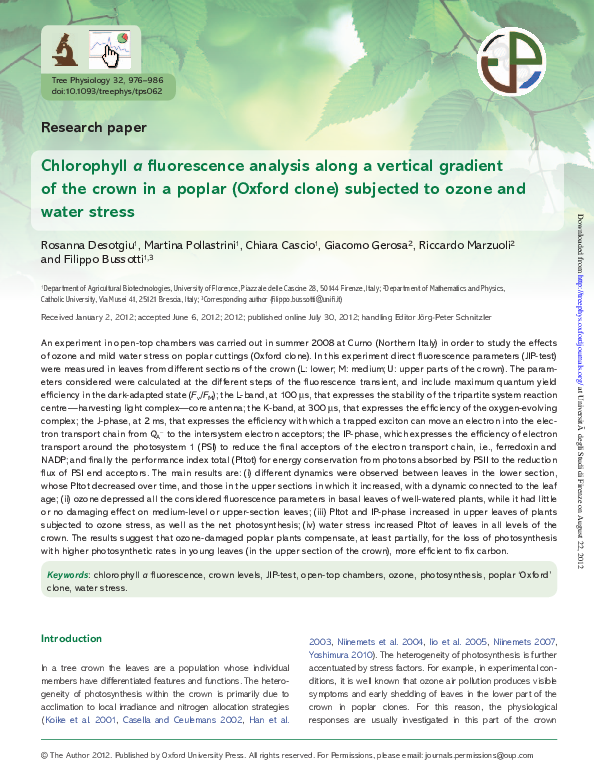 Chlorophyll google scholar image